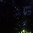 38야영장 이미지