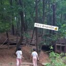 즐거운반딧불이 이미지