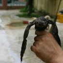 성산면사무소 이미지