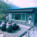 카페비스타 이미지