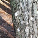 진한농장 이미지