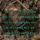 난곡동-64 | &#34;하수구 막힘, 관악구 주부의 실수담과 그 후 달라진 생활습관&#34;