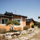 황토와 복분자 펜션 이미지