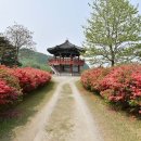 금강수목원 이미지