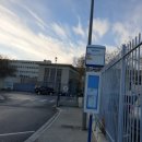 대성당안경 이미지