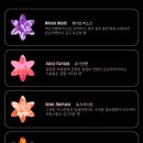 플래트 이미지
