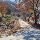 탑선경로당 이미지