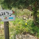 신림황둔로 | [강원도 원주 신림스테이캠프] 깨끗한 시설·수영장·계곡까지 완벽한 가족캠핑 후기