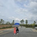 들꽃나라농장 이미지