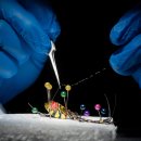 Korea Happy Together Travel 이미지