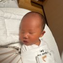 붕붕카클리닉 | [신생아육아]아기천사와 함께하는 육아일기(feat. 2025 출산지원금, 매운맛 신생아 육아, 신생아 태열...