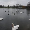 원석민박3 이미지