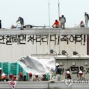 생생청과야채