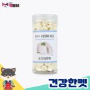 건강한 펫 이미지