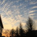 커피볶는집체리 이미지