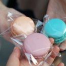 아미가르 이미지