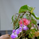 활형 꽃다발(bow style handtied) 이미지