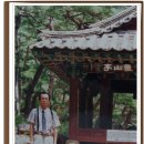 도천 Daum카페