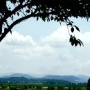 밀양아리랑 오토캠핑장 이미지