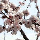 남참경로당 이미지