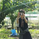 성지농장 이미지