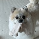 모더스위츠 - 김포시 양곡3로1번길 88 | 11월의 삶(2)