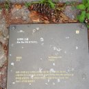 도레미스툴 이미지