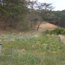 창녕농장 이미지