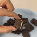 산에들에 | 산과들에 초코건 초콜릿 건빵 후기 달달바삭한 회사간식 추천 내돈내산