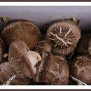 내고향서천 이미지