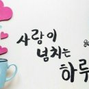세라비 Daum카페