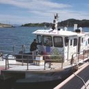 사계절낚시 이미지