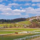 만길목장 이미지