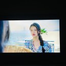 매화카센타 이미지