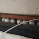 골프존파크 봉화산스크린 이미지