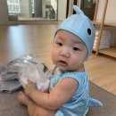 안산 화성 새솔동 프라이빗 대형 워터룸 키즈카페 아이랑 도담도담 4시간 이용후기