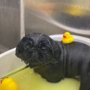 밝음유치원 이미지