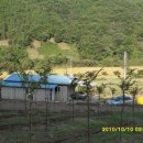 느티나무농원 이미지