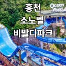 소노벨 비발디파크, 가격·객실·오션월드까지 정리
