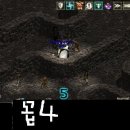 사보라