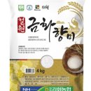 철원농업협동조합 미곡종합처리장 이미지