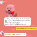 세이프컨설팅 | 광주 웨딩컨설팅 비교 후기｜이해선, 더블루, 웨딩봄날 3곳 상담 후 ‘강지영 플래너님’으로 결정한 이유