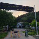 커피밭 | 경남 함안 야외 잔디밭이 예쁜 [ 짹짹커피 함안점 ] 솔직후기