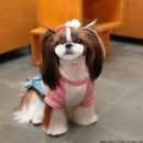 플라이플라잉 이미지