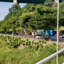 대강오토캠핑장 이미지