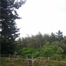 서해에서아침을펜션 이미지