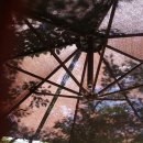 수안보 족욕체험장 이미지