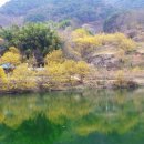 (구)보건소사거리2(하나은행앞) 이미지