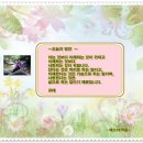 구로4동자치회관 Daum카페