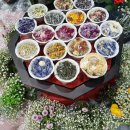 행보키꽃차 이미지